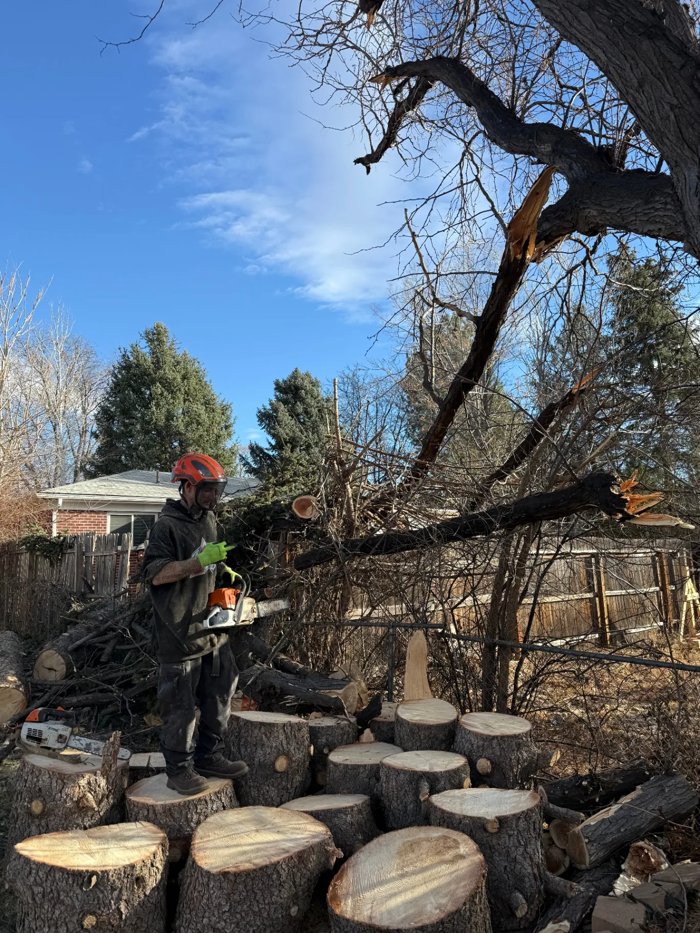 Arbor Care crew member with chainsaw cutting tree logs on a Denver job site