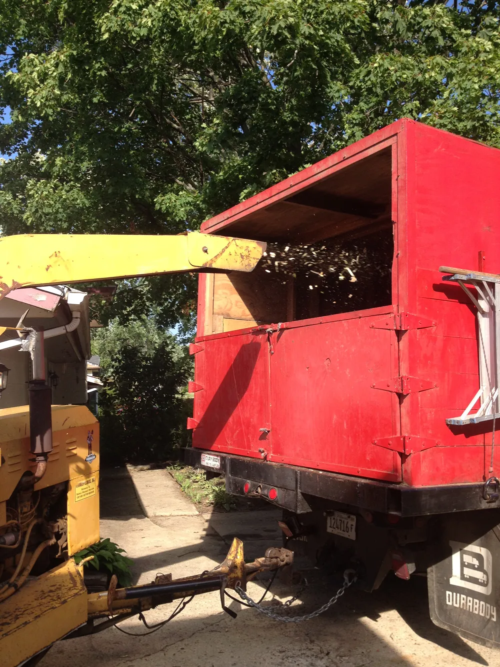 Hazardous tree removal near residential property